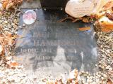 image of grave number 679389